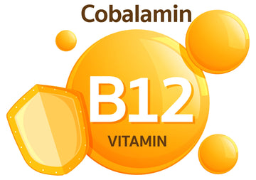 Vitamin B12 Supplements for Vegetarians: A Complete Guide to Closing the Gap